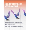Вид 16